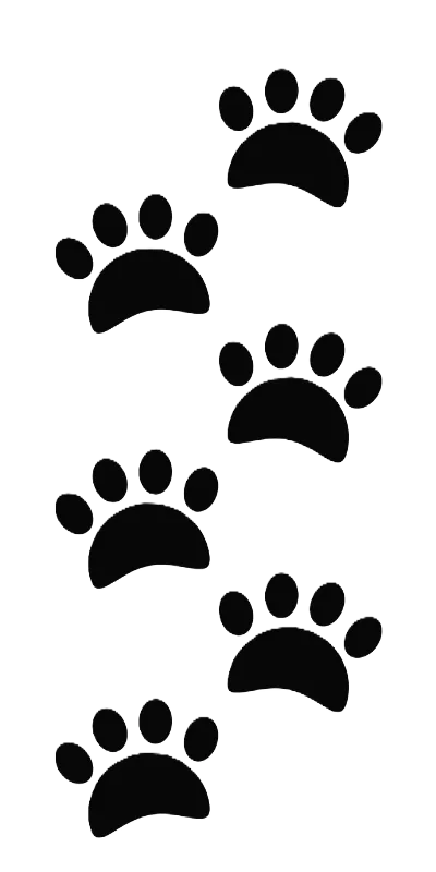 肉球のあしらい