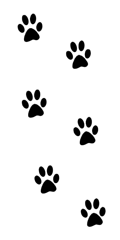 肉球のあしらい