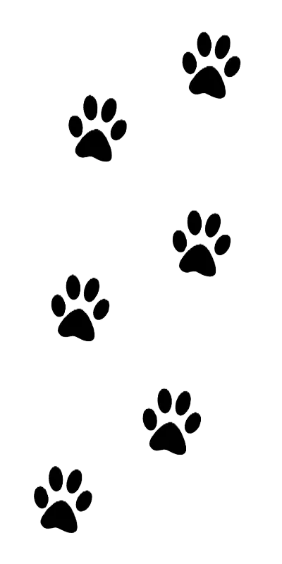 肉球のあしらい