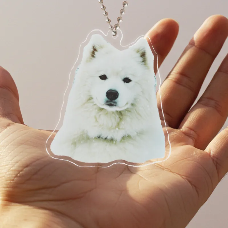 商品メイン画像