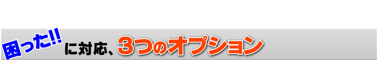 A3フリップ 業界最速 最安のa3フリップは ビジプリ