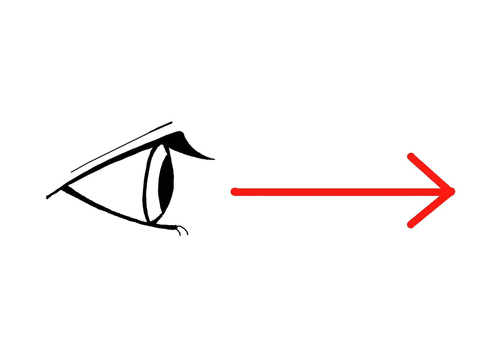 視認性を左右する！見る距離と横断幕のサイズの関係<