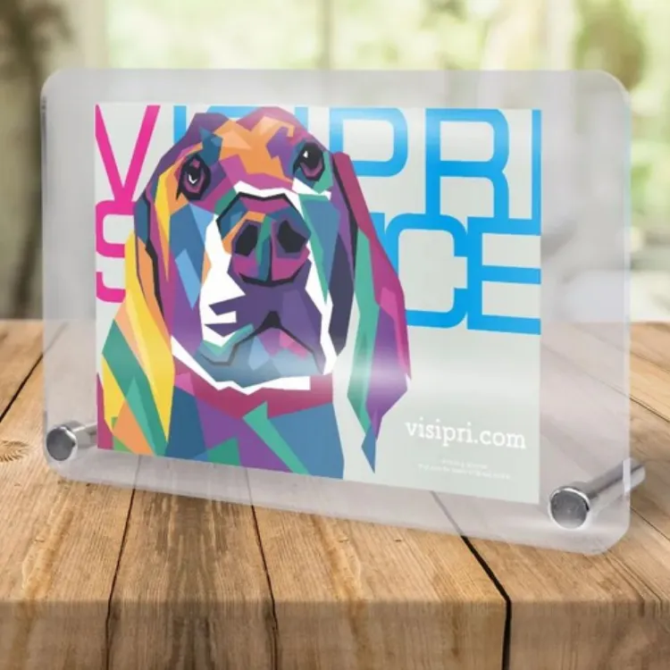 犬がモチーフのモダンアートが印刷されたアクリルフォトパネル