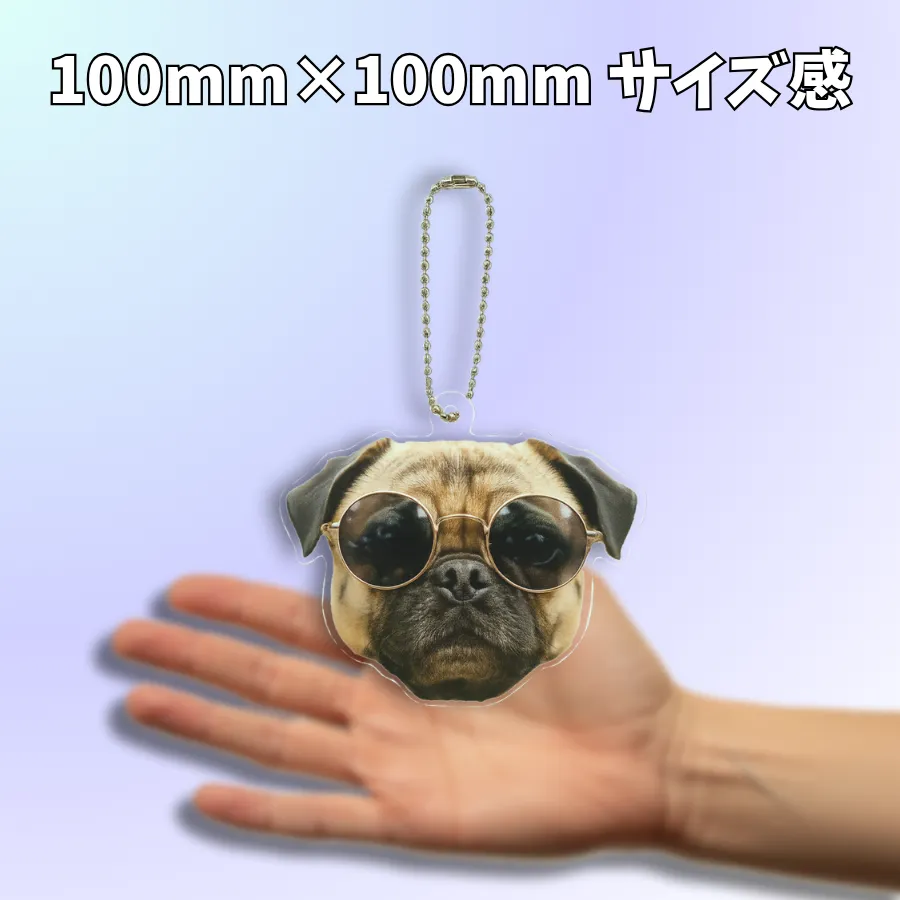 100mm×100mmサイズ