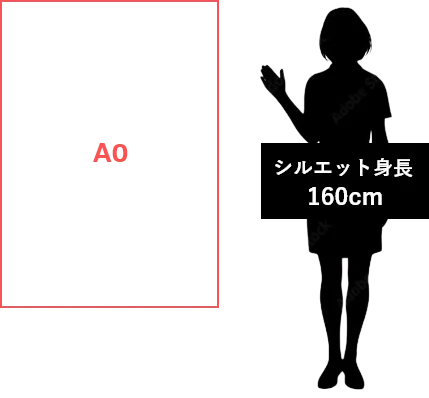 a0