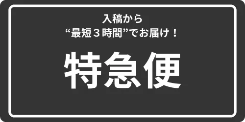特急便納期プラン